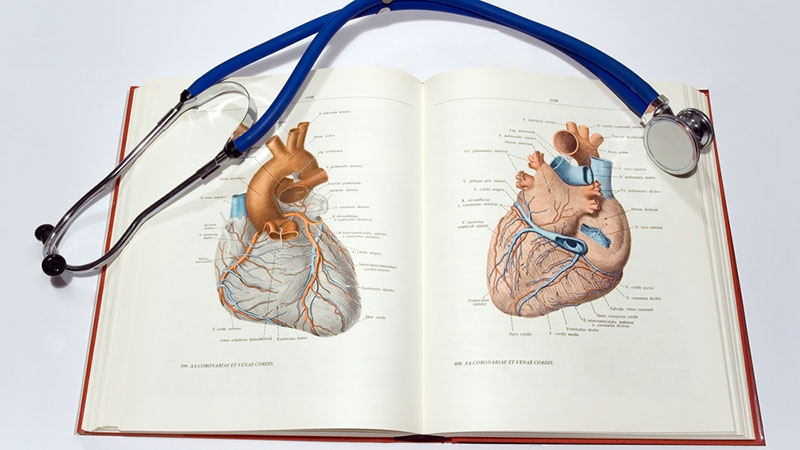 Glencoe Physical Science: Online Textbook Help Course - Online ...