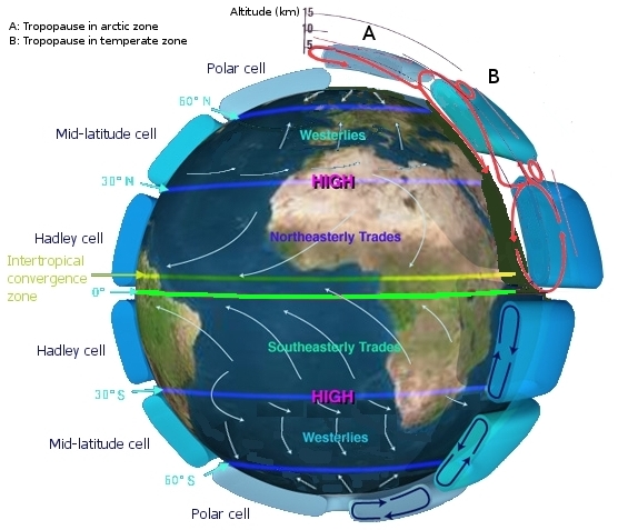 global wind patterns worksheet