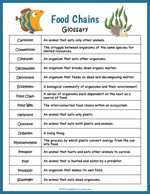 Glossary Worksheets