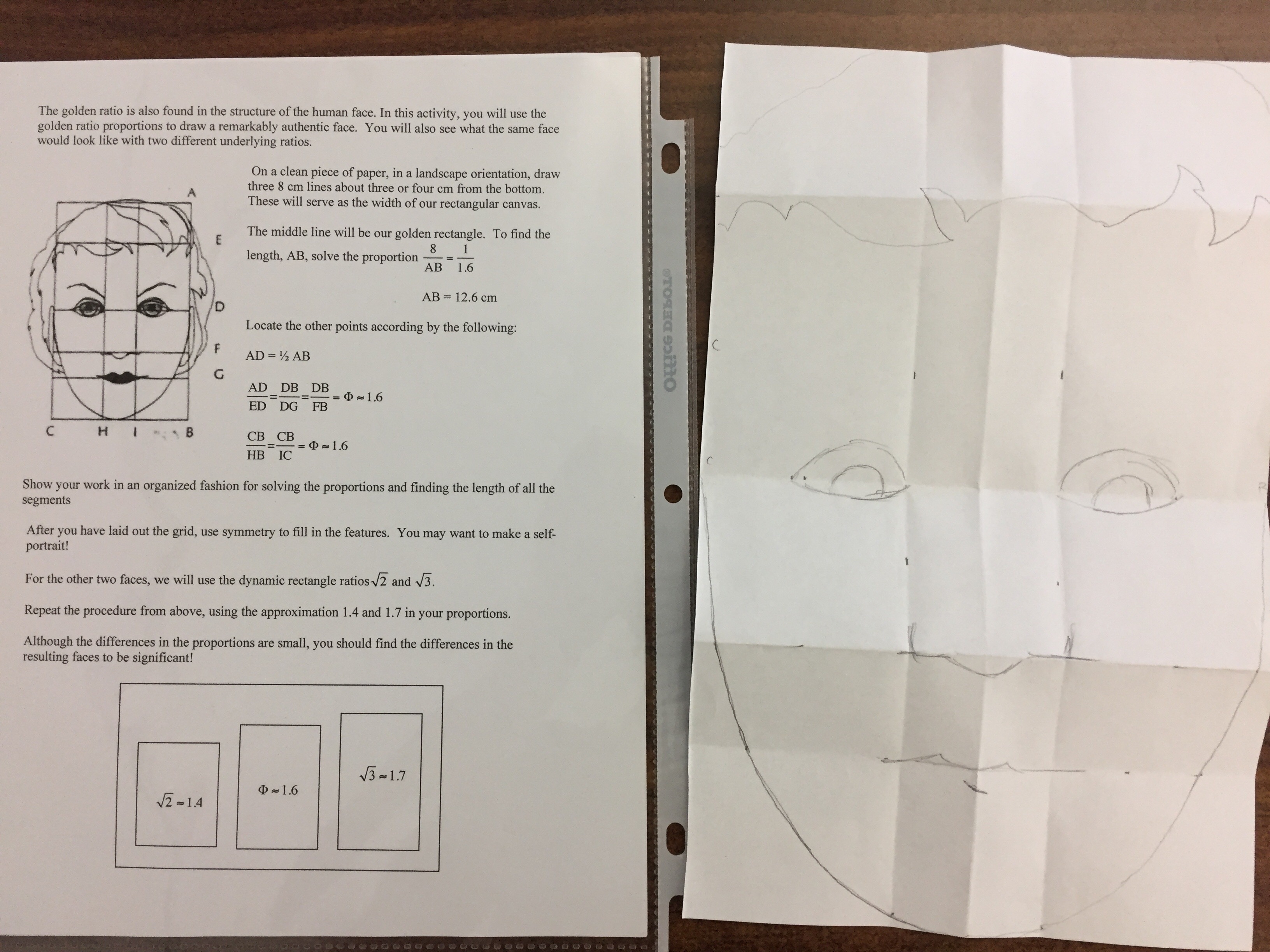 Golden Ratio &  The Human Face Activity | mrmillermath