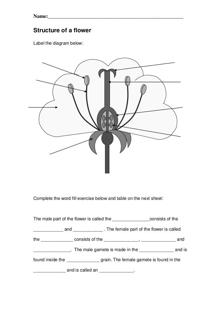 4th Grade Science Worksheets - Best Coloring Pages For Kids | Fun ...