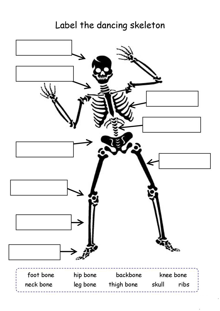 gr 4 science worksheet