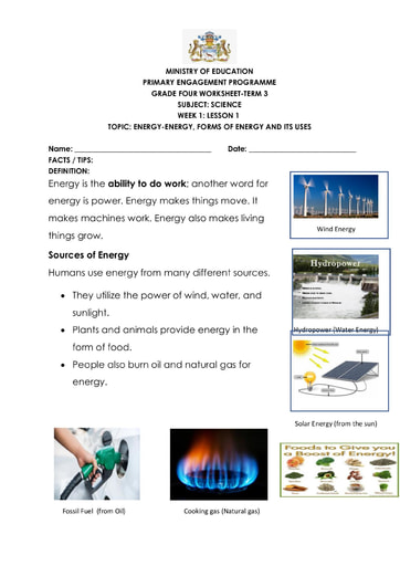 Grade 4 - Worksheets - Science