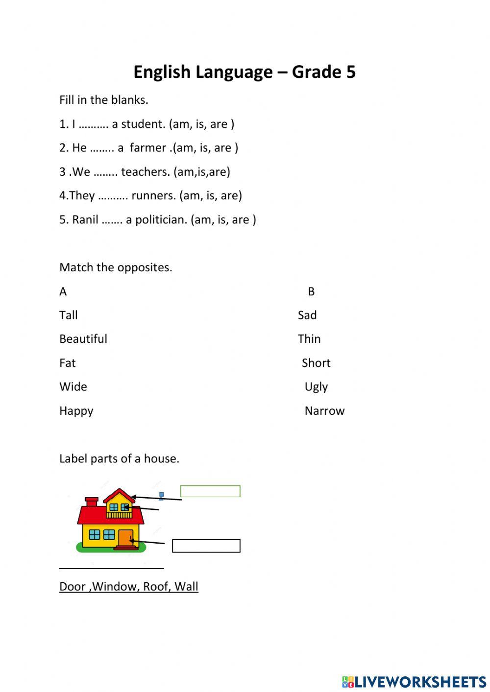 Grade 5 English Worksheet Worksheets Library