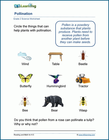 Science worksheets for grade 2 students | Worsheets library