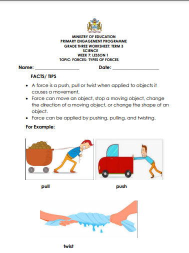 Grade 3 - Worksheets - Science