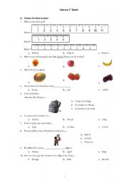 English worksheets: Science 1st grade