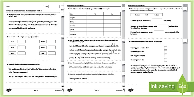 Grade 3 Grammar and Punctuation Test 2 | English Assessment