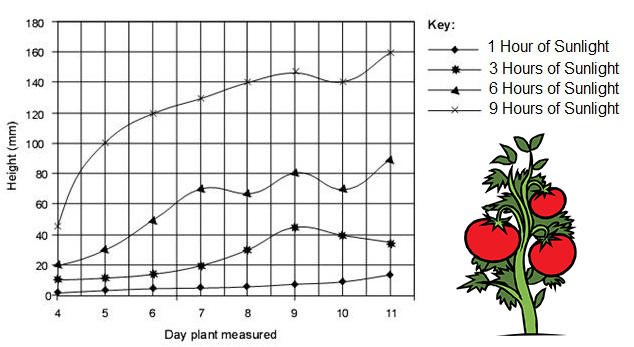 Interpreting Graphs