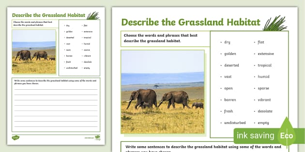 Describe the Grassland Habitat Worksheet (teacher made)