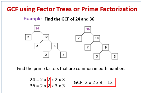 greatest common factor factor trees worksheet