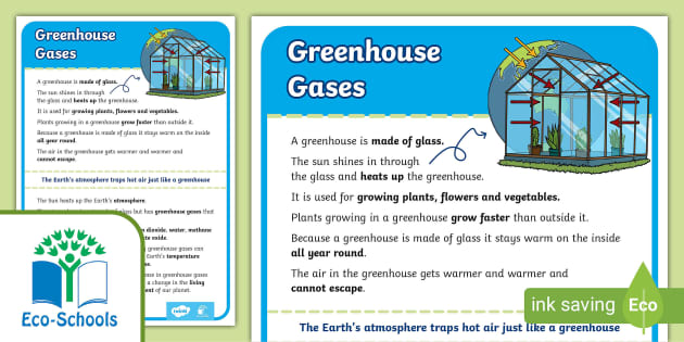 Eco-Schools Greenhouse Factsheet (teacher made) - Twinkl