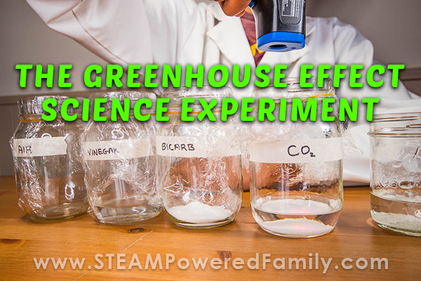 What Is the Greenhouse Effect?