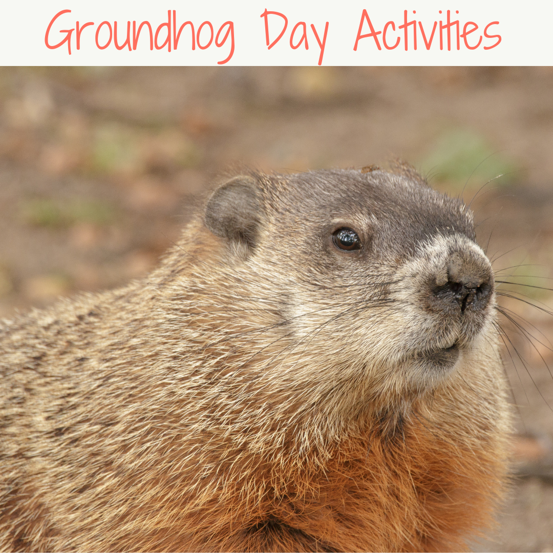 Great Groundhog Day Activities for Kindergarten