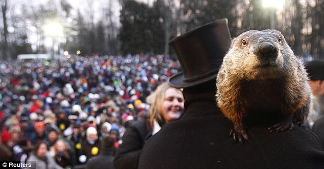 Groundhog Day 2013: Punxsutawney Phil predicts spring will make ...