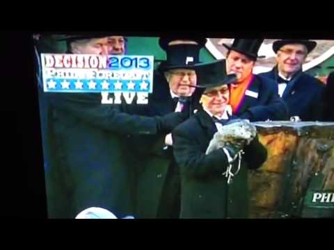 Groundhog Day 2013 VIDEO Punxsutawney Phil Makes Prediction!