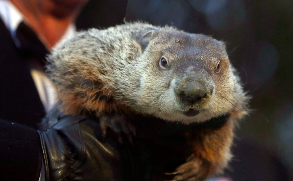 Its Groundhog Day! | CTV News