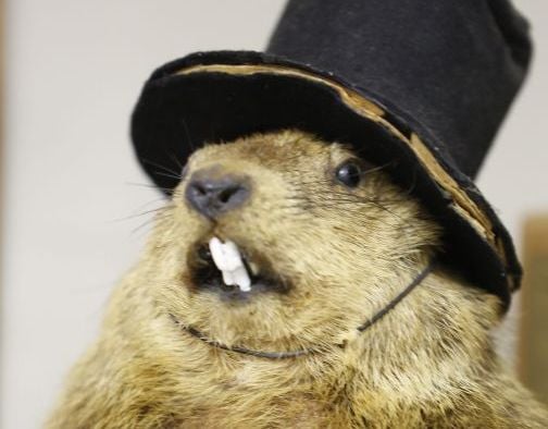 Whistlepigs and the weather: Local rites mark Groundhog Day ...