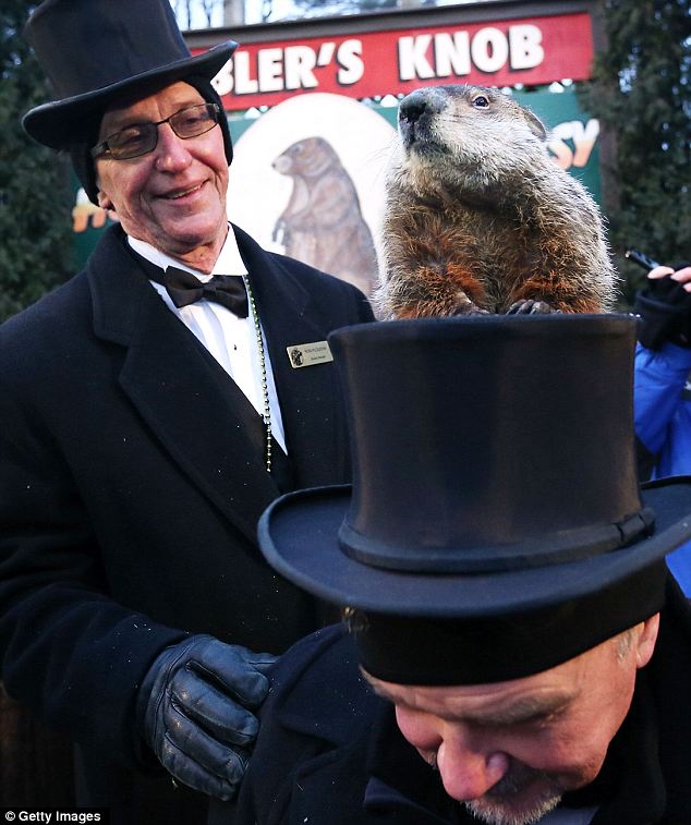 Groundhog Day 2013: Punxsutawney Phil predicts spring will make ...