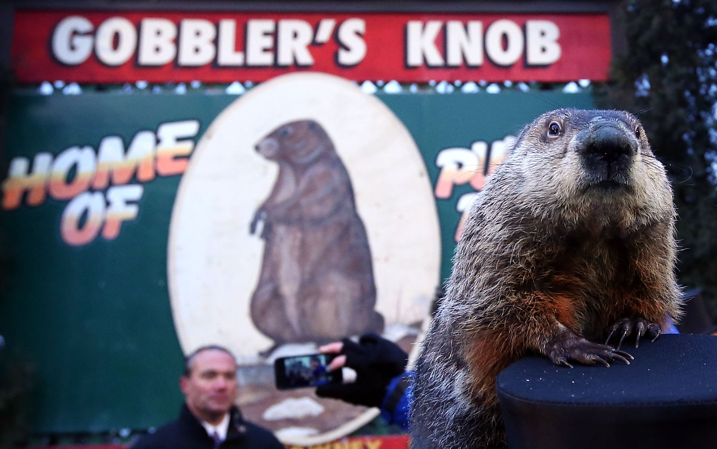 Groundhog Day Movie Put Punxsutawney On The Map For Pennsylvania ...