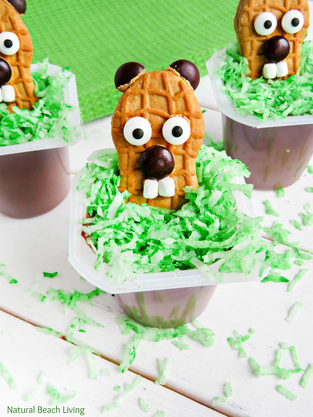 Groundhog Day Snack Idea for Kids - Natural Beach Living