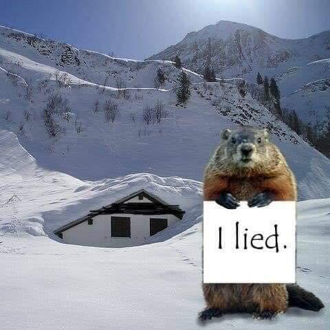 Groundhog Day Movie Detail: The Poetry Book That Phil Reads to ...