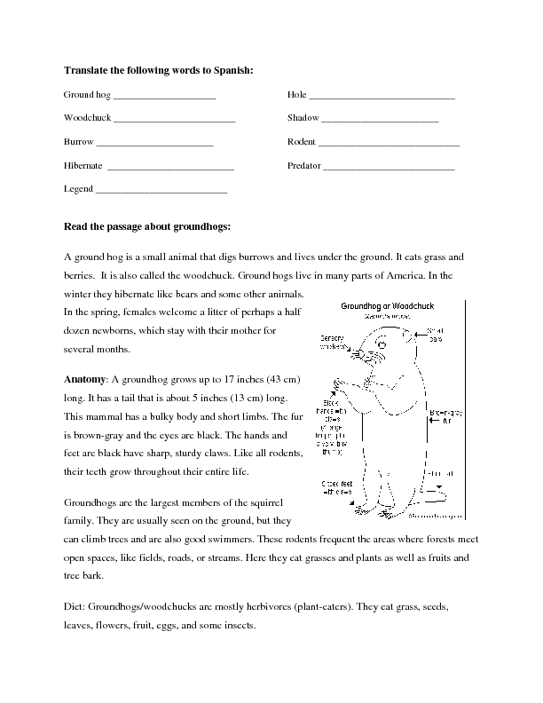 BusyTeacher.org