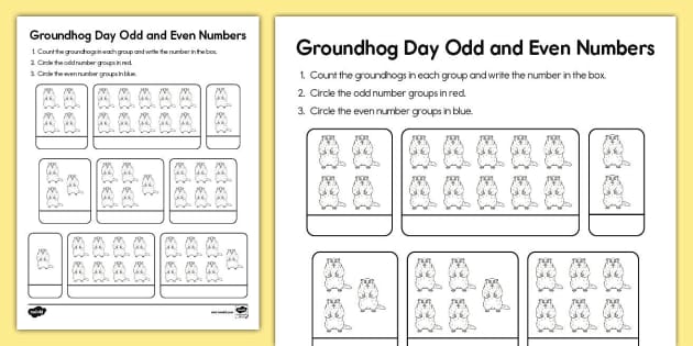 groundhog s day worksheet for kindergarten