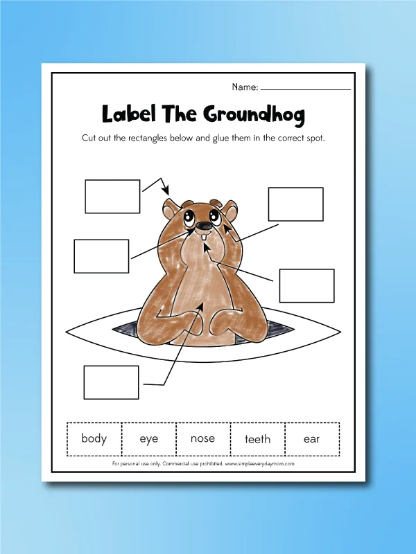 Groundhog Day Worksheets For Kids [Free Printable]
