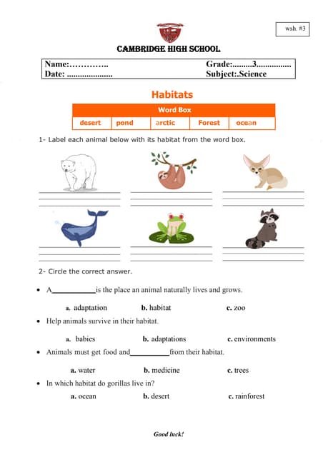 Worksheet 3-habitats (2) | PDF