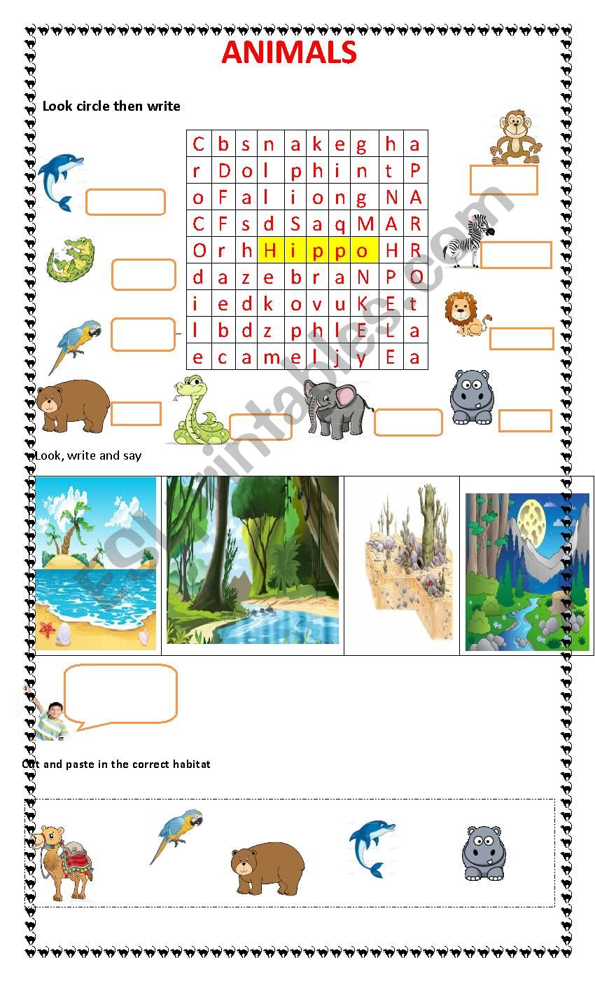 animals and their habitat - ESL worksheet by stessenspaola