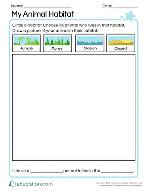 My Animal Habitat | Worksheet 