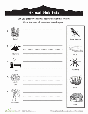 Animal Habitats for Kids | Worksheet 