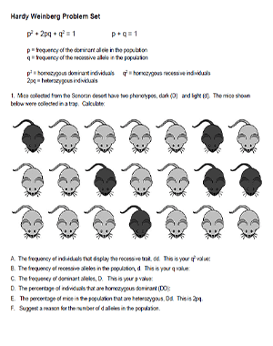 Hardy Weinberg Problem Set - Determine p, q, and 2pq