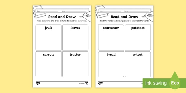 Harvest Differentiated Read And Draw Worksheet / Worksheet Pack