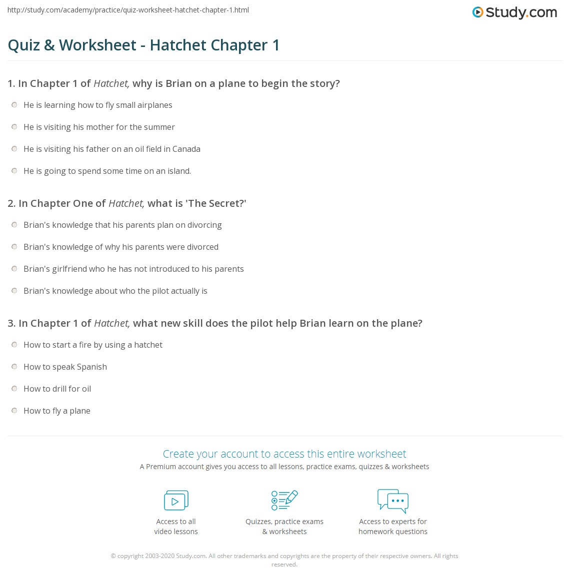 Quiz &  Worksheet - Hatchet Chapter 1 | Study.com