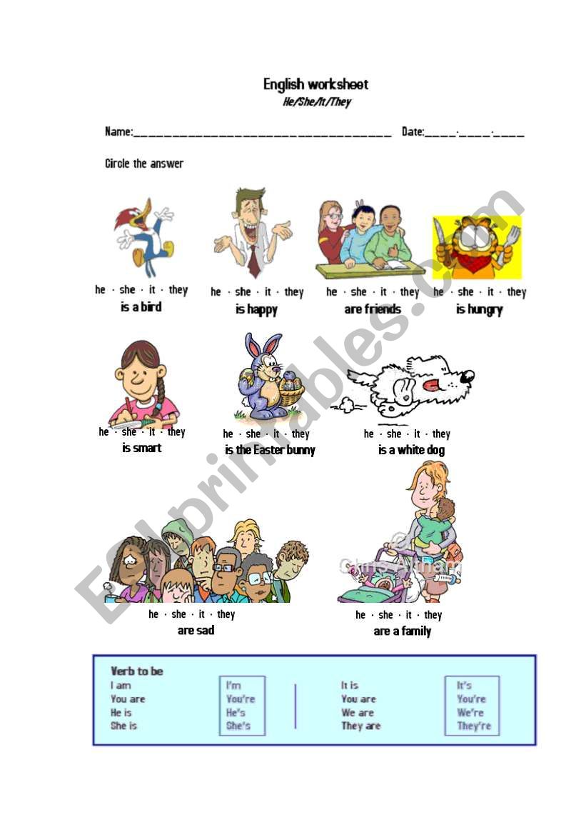 he she they worksheet