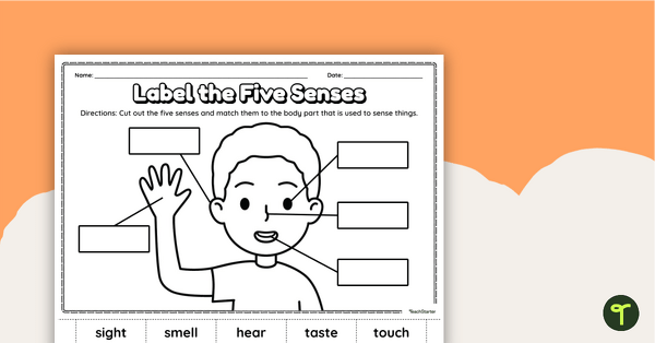 Health Education Worksheets for Teachers | Teach Starter