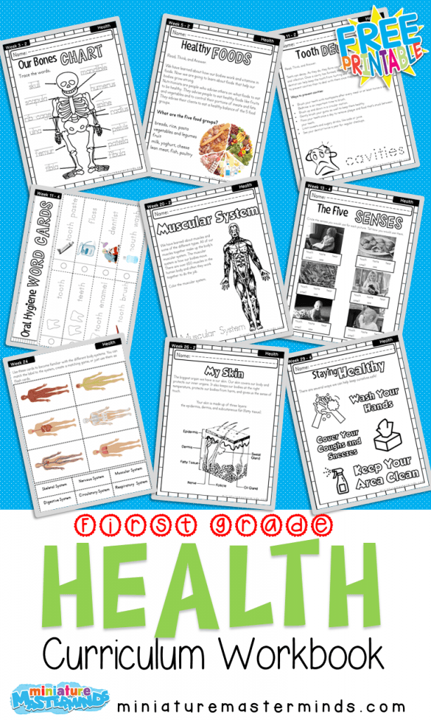 health worksheet for first grade