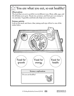 health worksheet for first grade