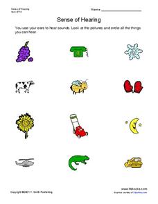 Sense Of Hearing Worksheet for Pre-K - 1st Grade | Lesson Planet