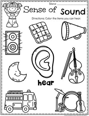 5 Senses - Planning Playtime