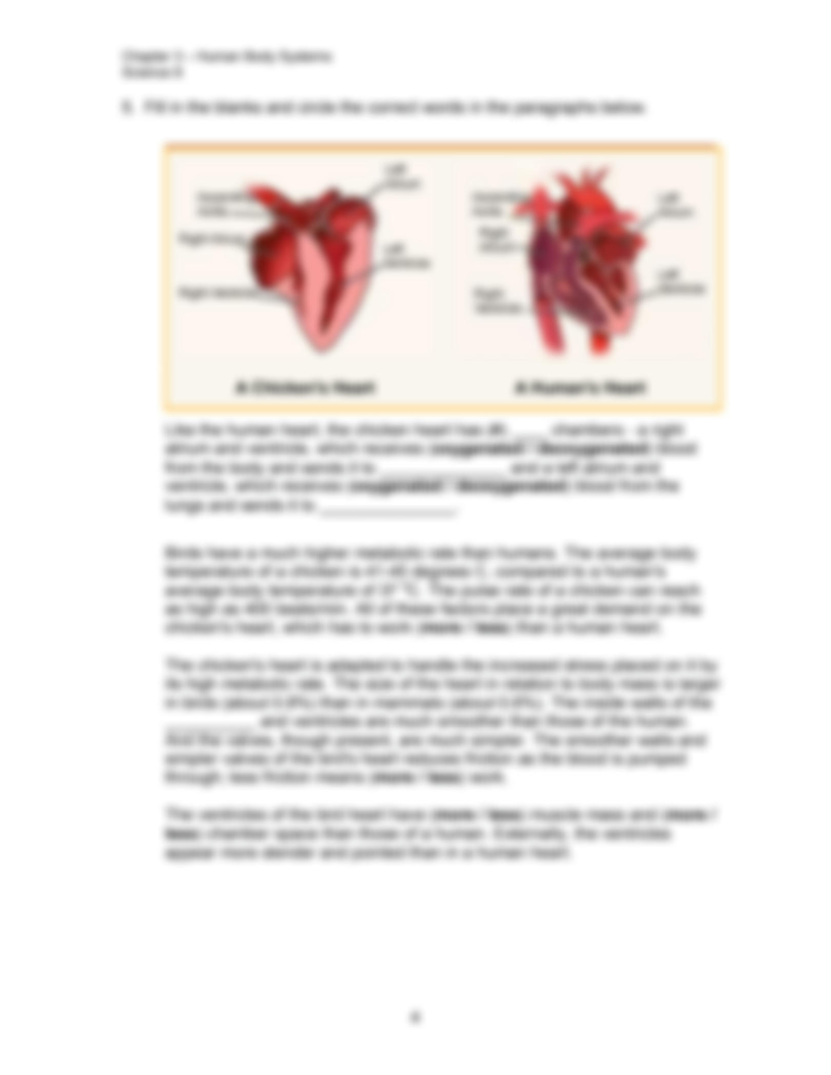 Heart Dissection Lab Worksheet How Would You Label The Structures Heart Dissection Lab Worksheet How Would You Label The Structures