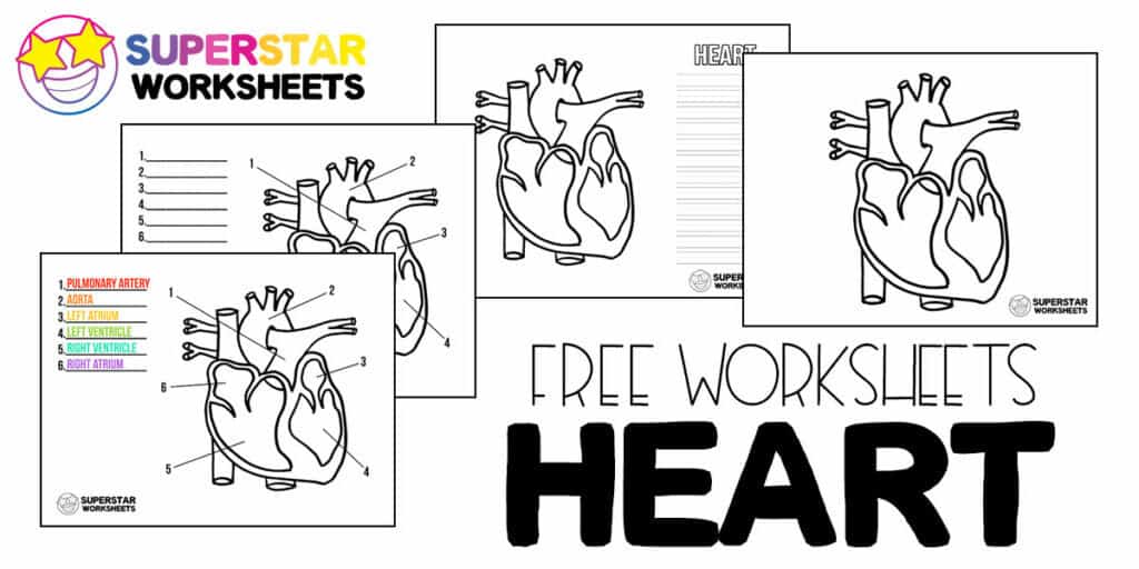 Heart Worksheets -Worksheets Library