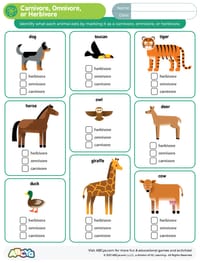 herbivore carnivore omnivore worksheet