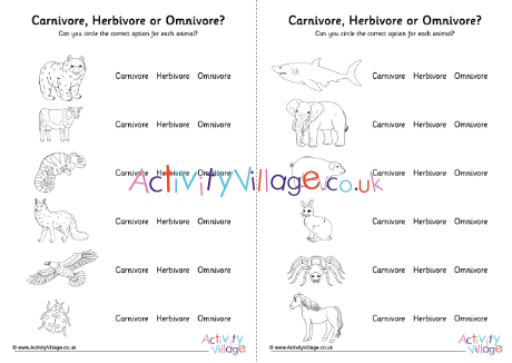 herbivore carnivore omnivore worksheet
