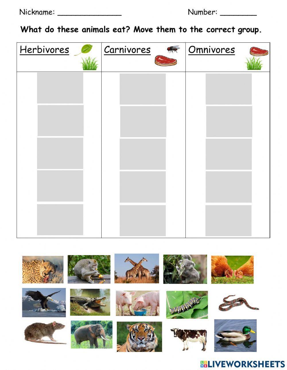 herbivore carnivore omnivore worksheet