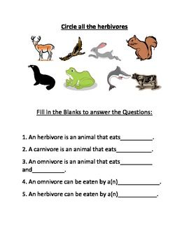 Carnivore, Herbivore, Omnivore Worksheet | Omnivore, Carnivores ...