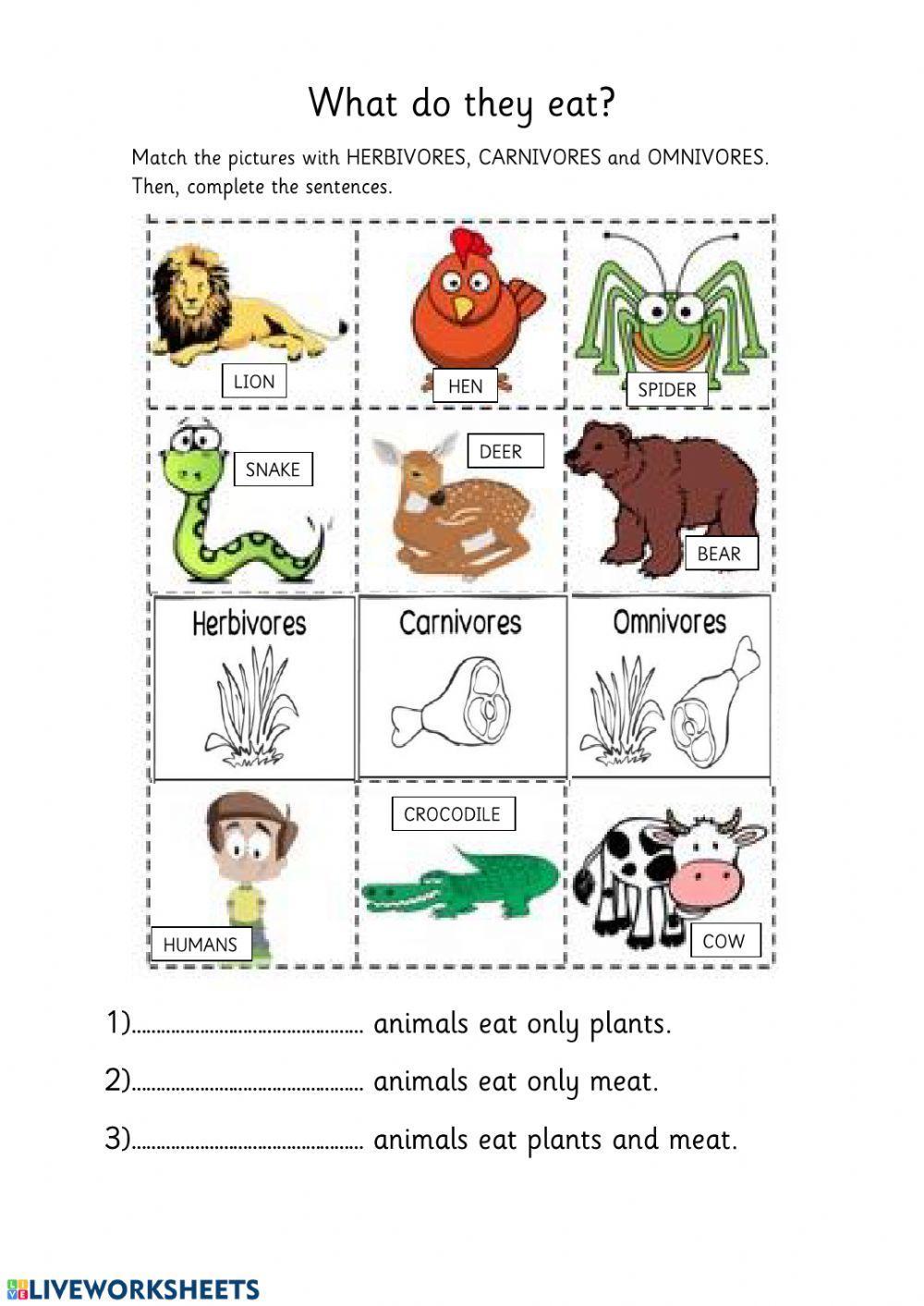 herbivore omnivore carnivore worksheet