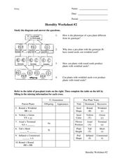 heredity worksheet answers